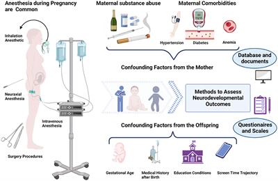 Prenatal anesthetic exposure and offspring neurodevelopmental outcomes—A narrative review
